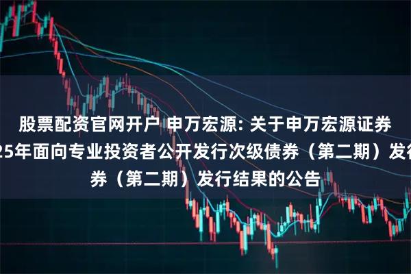 股票配资官网开户 申万宏源: 关于申万宏源证券有限公司2025年面向专业投资者公开发行次级债券(第二期)发行结果的公告